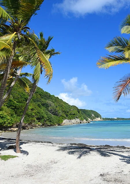 Guadeloupe