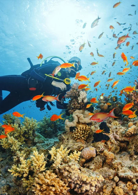 Snorkeling